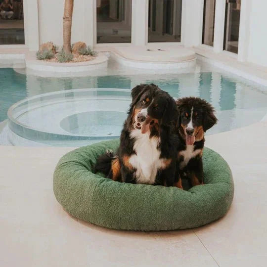 DogBeds-LuxuryBoucleDogBed_Covers9_540x_da4bb1fb-75d5-4882-8fdd-a045b59b664c.jpg