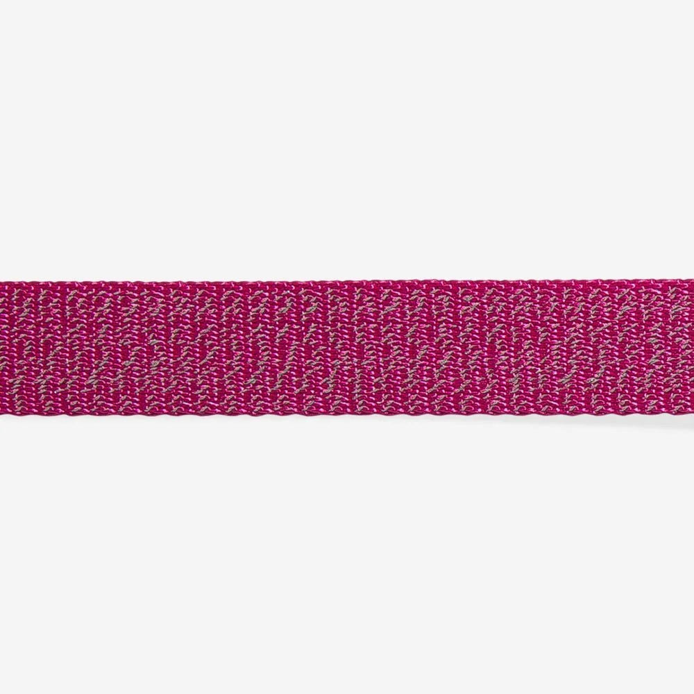 zeedog-dog-collar-nox-sidus_main-4.jpg