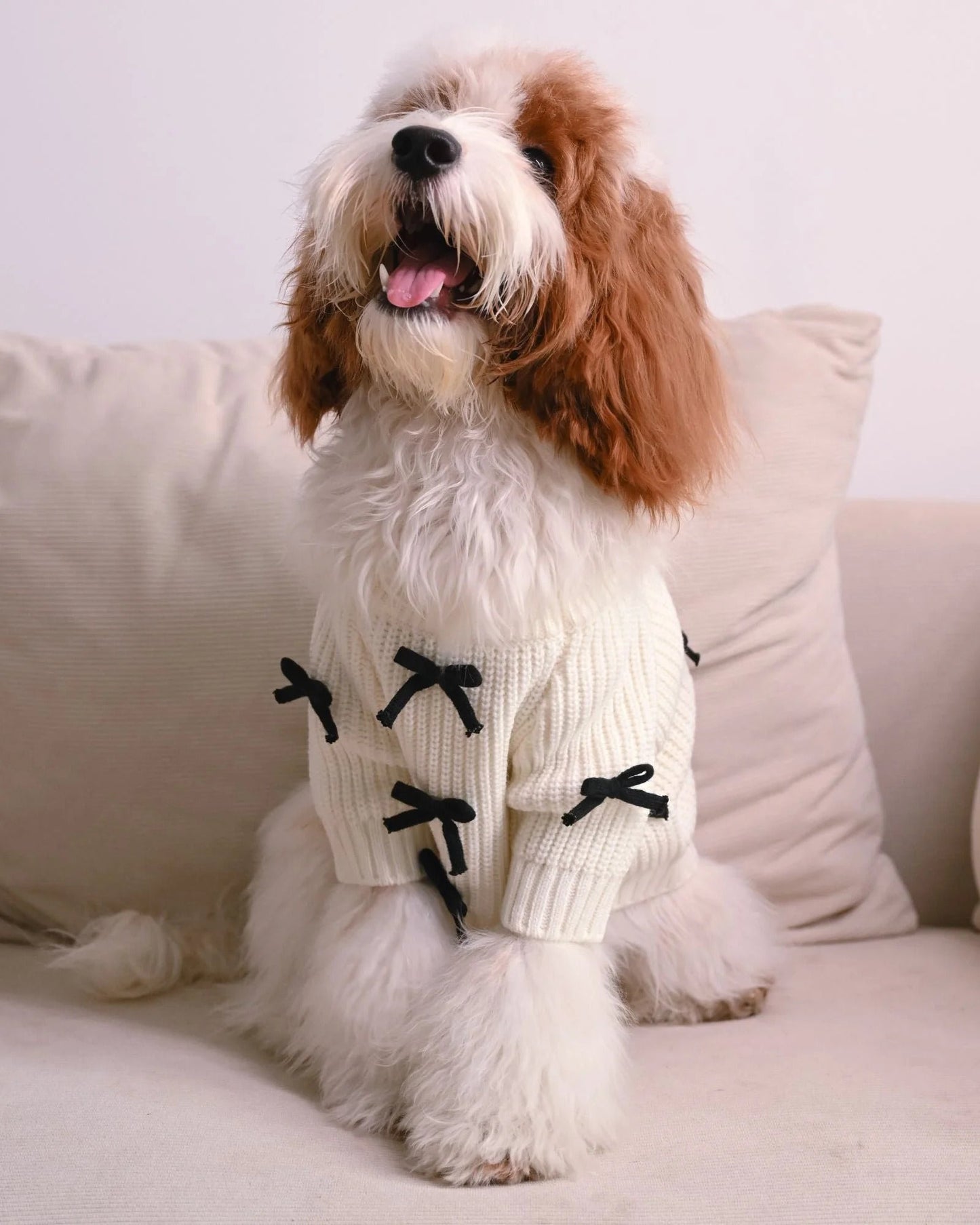 Premium Black 3D Bow Design Winter Sweater for Pets