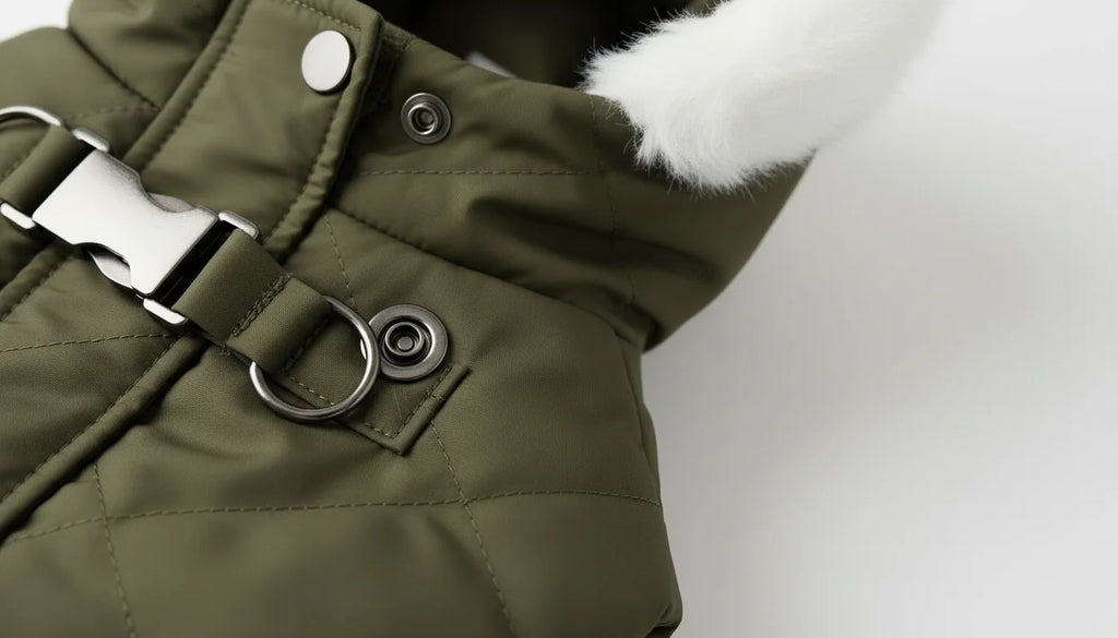 Olive green dog coat with white fur and silver buckle close-up on white background