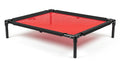 A red and black elevated dog bed with a mesh surface and sturdy frame on a white background.