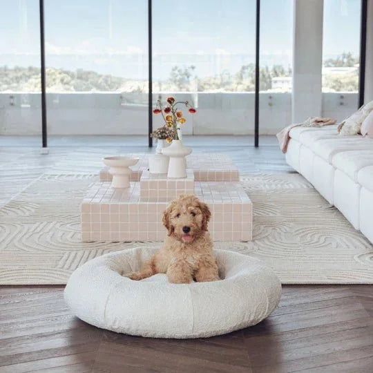 DogBeds-LuxuryBoucleDogBed_Covers4_540x_fc087927-b775-4989-b6fd-abca4a6e3708.jpg