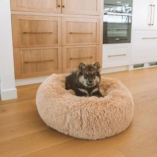 DogBeds-CalmingDogBed_Covers15_540x_506ec704-f3c1-4c45-9144-5ee19920aa48.jpg