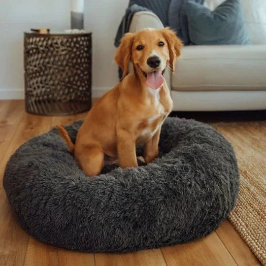 DogBeds-CalmingDogBed_Covers9_540x_de20ea38-8e4c-49ac-a2a0-9d4c3acb4263.jpg