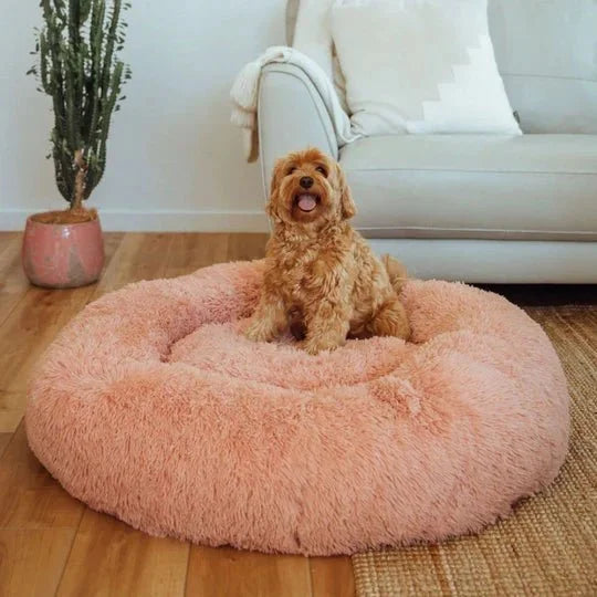 DogBeds-CalmingDogBed_Covers4_540x_7456f63b-6866-4e1f-b8e3-e0d8bd1a8a38.jpg