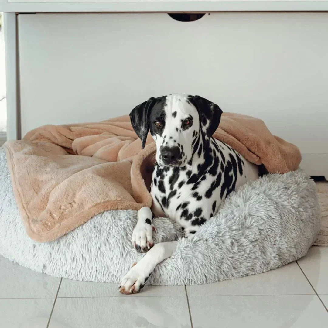 Blankets-DoubleWeightedLuxuryBlanket7_1800x1800_271ad469-1fdb-4807-b27f-dc3e20038247.jpg