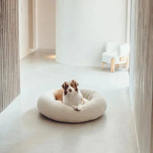 DogBeds-LuxuryBoucleDogBed_Covers3_540x_3205f3e2-3c40-4ea0-bb8a-084c33acbf41.jpg