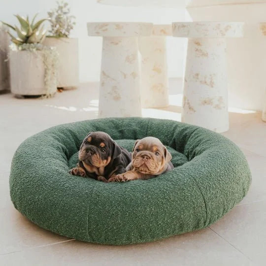 DogBeds-LuxuryBoucleDogBed_Covers7_540x_07e891f0-839c-4547-9f3c-fecd8bc25f2f.jpg