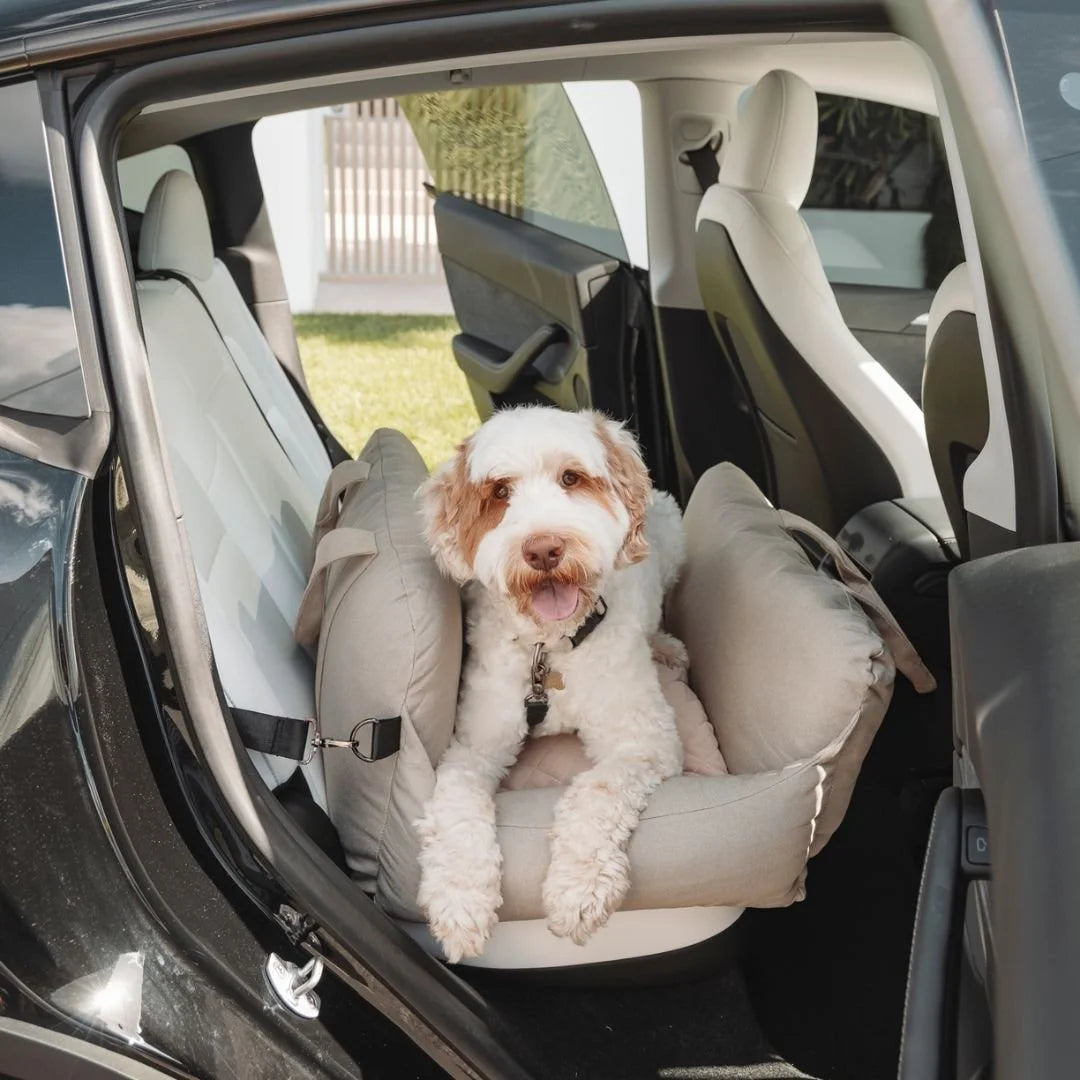 DogBeds-PremiumDogCarBed6.jpg