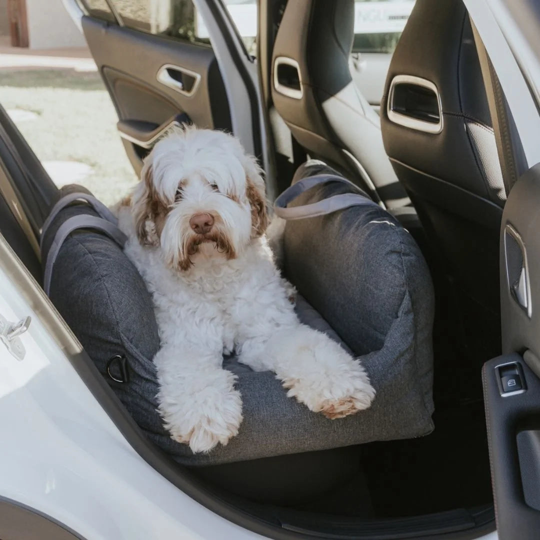 DogBeds-PremiumDogCarBed9.jpg