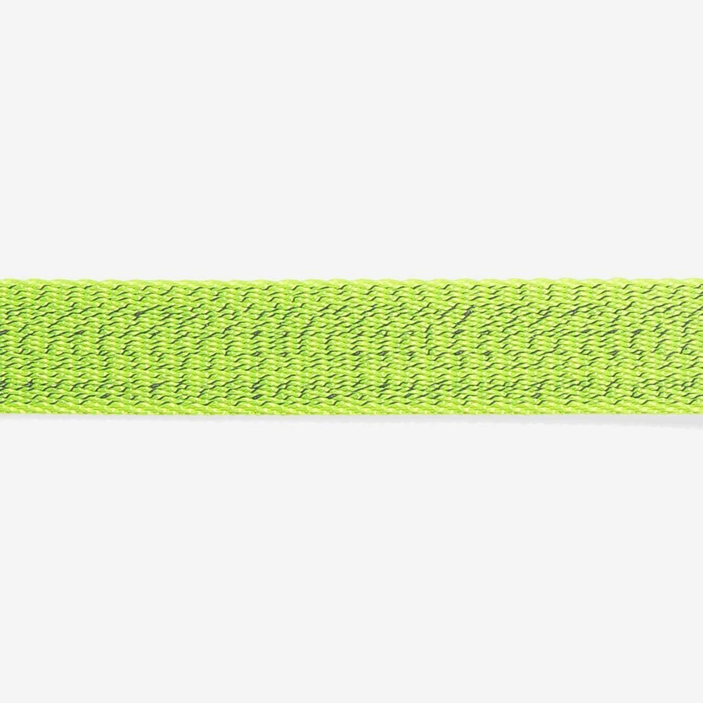 zeedog-dog-collar-nox-lumen_main-4.jpg