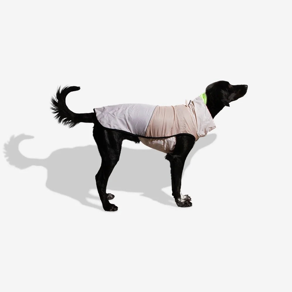 zeedog-rain-coat-oatmeal_main-3.jpg