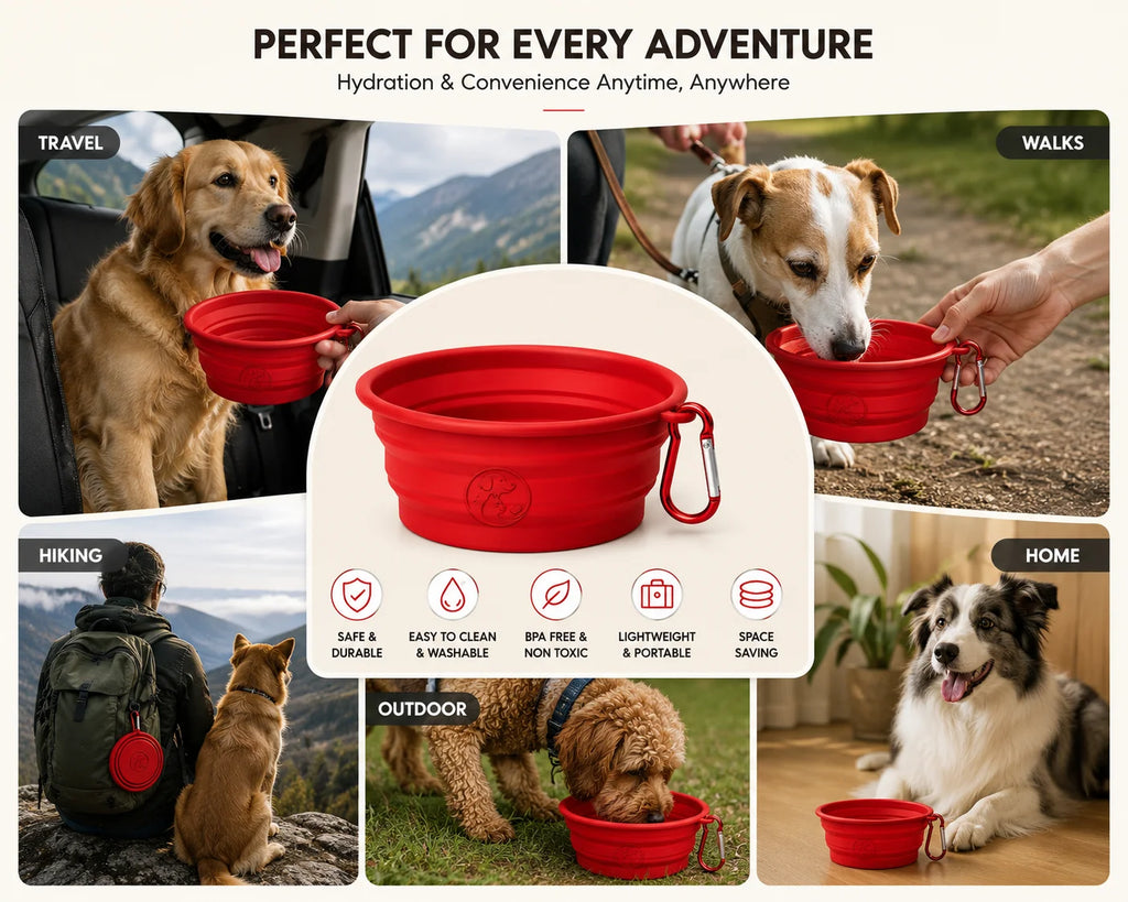 Collapsible red dog bowl for travel, walks, hiking, outdoor use, and home