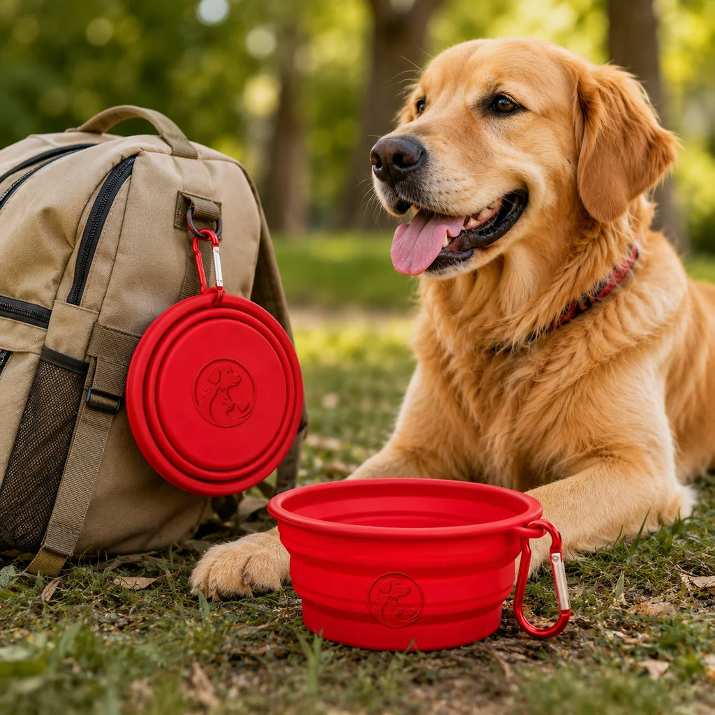 Golden retriever dog lying on grass with red collapsible bowl and tan backpack