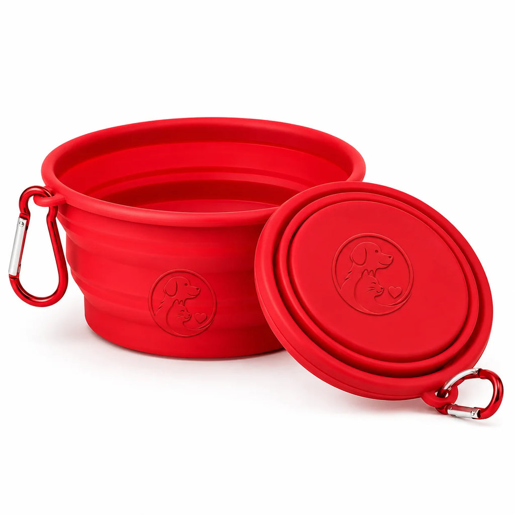 Red collapsible dog bowl with lid and carabiner clips for outdoor use