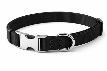 Adjustable Dog Collar – Nylon Collar with Metal Buckle & D-Ring