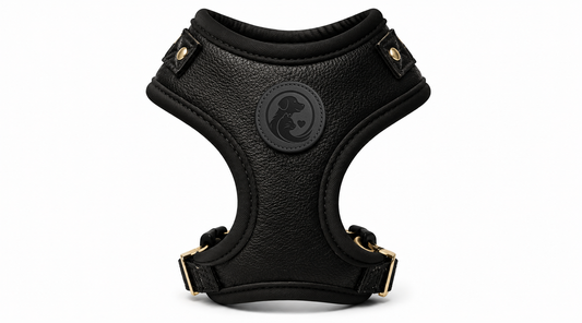 Black Leather-Look Pet Harness Vest with Gold-Tone Hardware