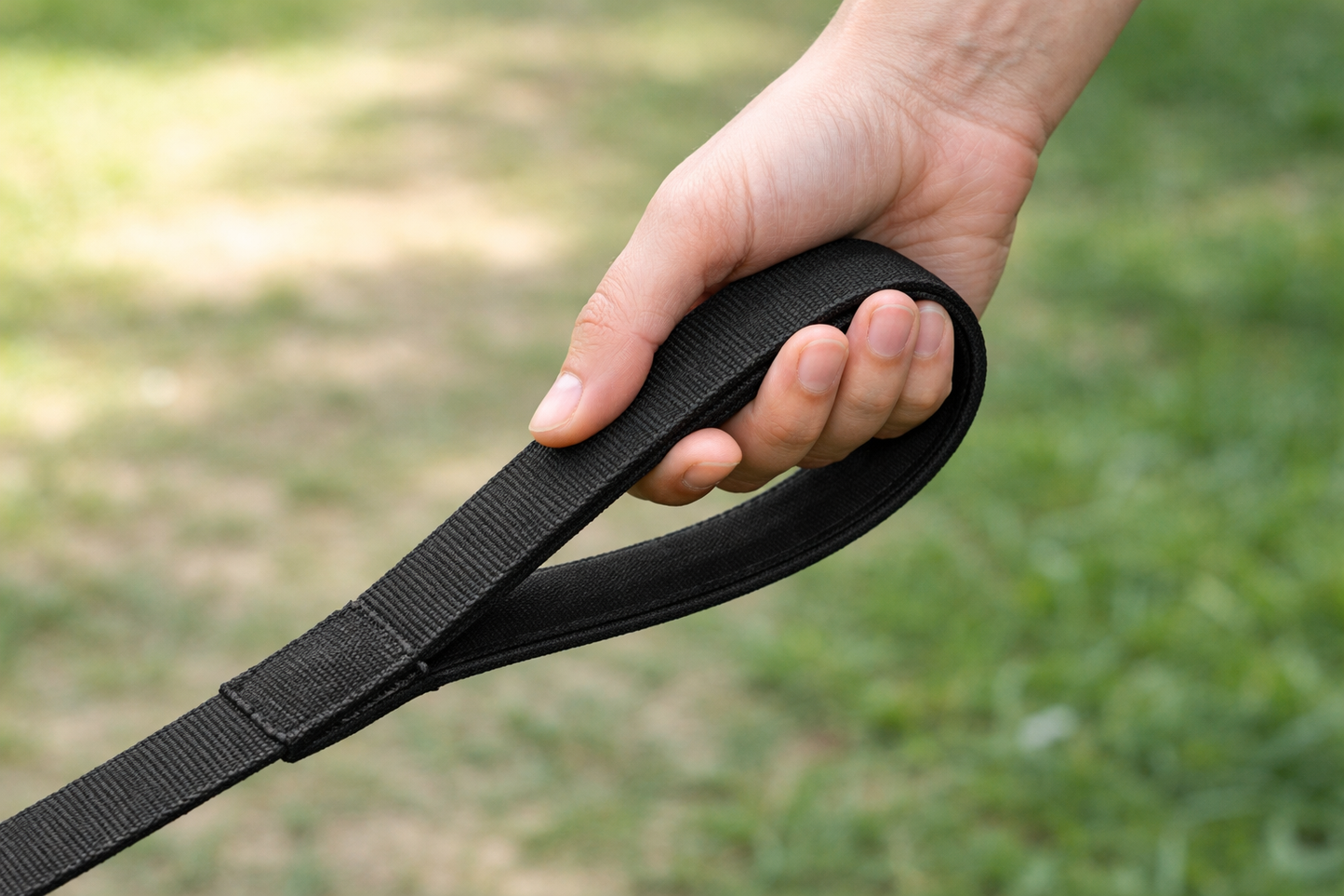 Durable Nylon Dog Leash – Strong Metal Clip & Comfortable Handle