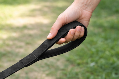 Durable Nylon Dog Leash – Strong Metal Clip & Comfortable Handle
