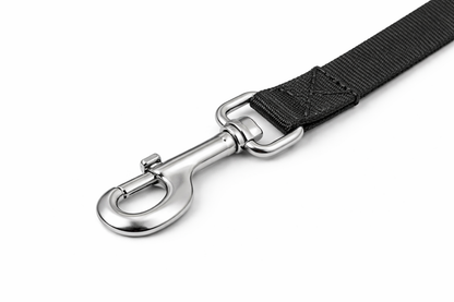Durable Nylon Dog Leash – Strong Metal Clip & Comfortable Handle