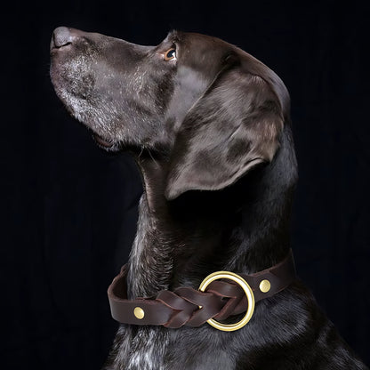 Genuine Leather Dog Collar And Leash Set For Large Dogs