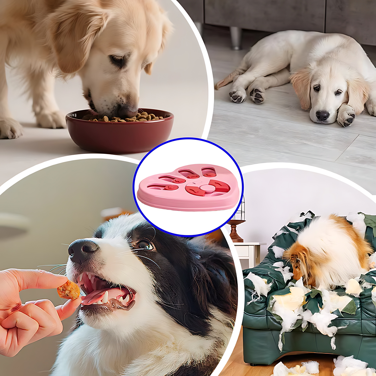 Interactive Dog Treat Puzzle Toy with Sliding Compartments