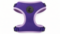 Purple Pet Harness Vest with Padded Comfort Fit