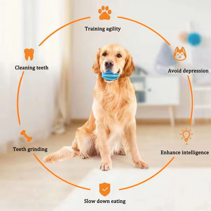 Rubber Treat Ball for Dogs – Interactive Chew Toy