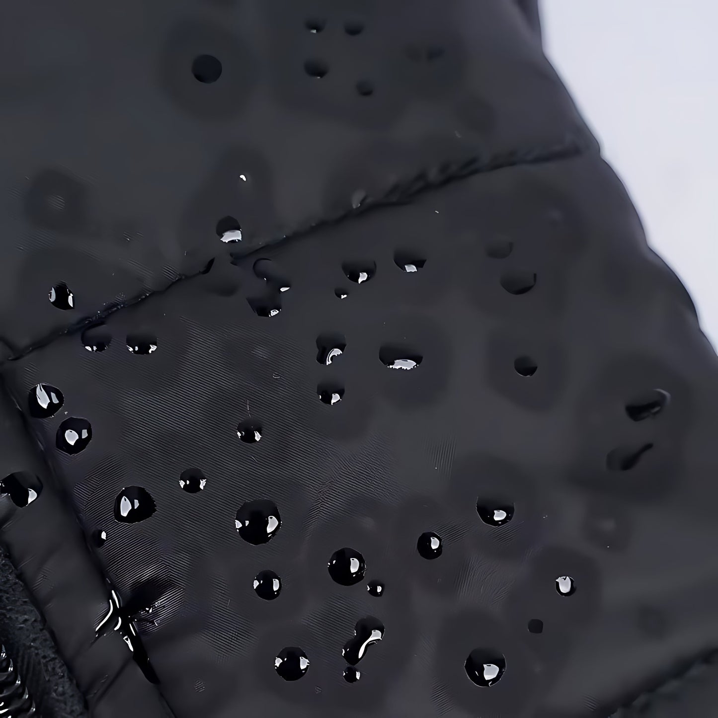 Waterproof Dog Winter Jacket – Warm Padded Coat with Zipper